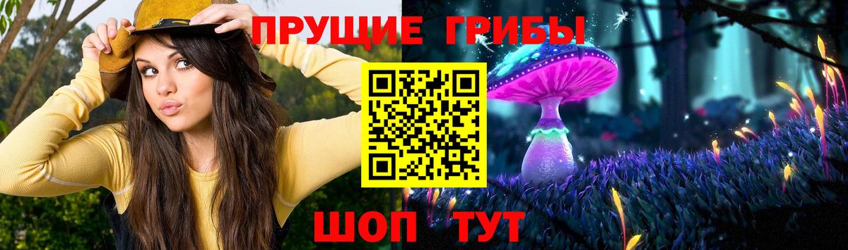 Галлюциногенные грибы мухоморы  Вход с VPN  Алейск 